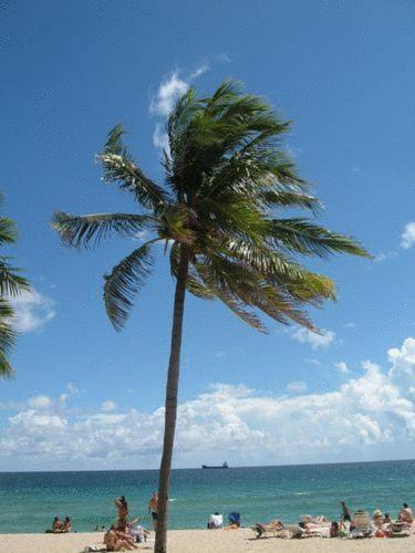 Seaside Motel Fort Lauderdale Dış mekan fotoğraf